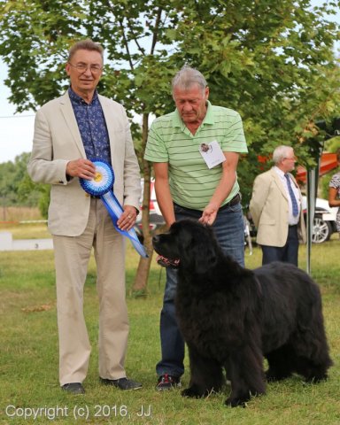 Džbán 2016 - Speciální výstava CAC 3.září 2016