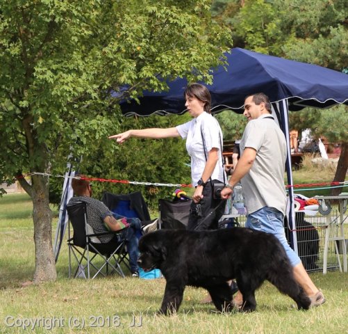 Džbán 2016 - Speciální výstava CAC 3.září 2016