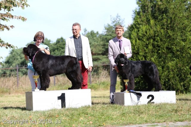 Džbán 4.9.2016 - Klubová výstava CAC