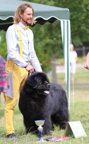 Džbán 4.9.2016 - Klubová výstava CAC