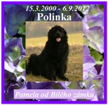 Polinka_small