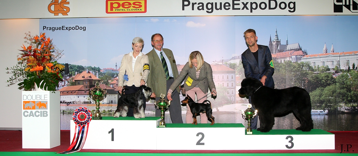 Olivie od Trojské skály 3.místo JBIG Praha 2012