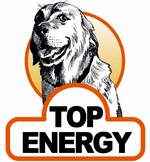 Top energy