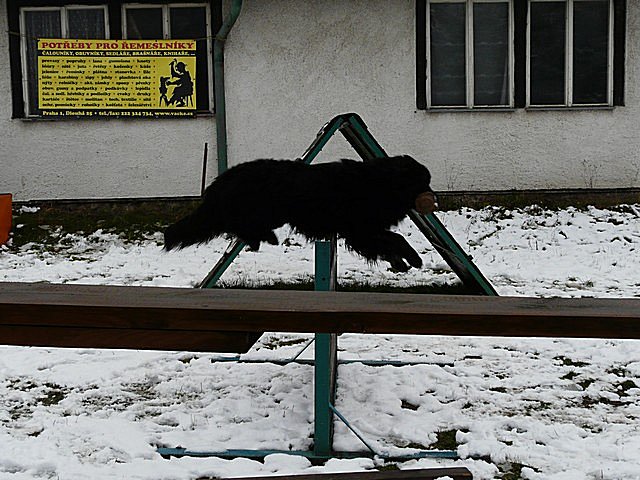 foto liben 4 p1030587.jpg